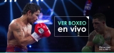 Ver boxeo en vivo online gratis en 2025