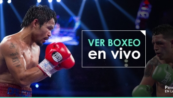 Ver boxeo en vivo online gratis en 2026
